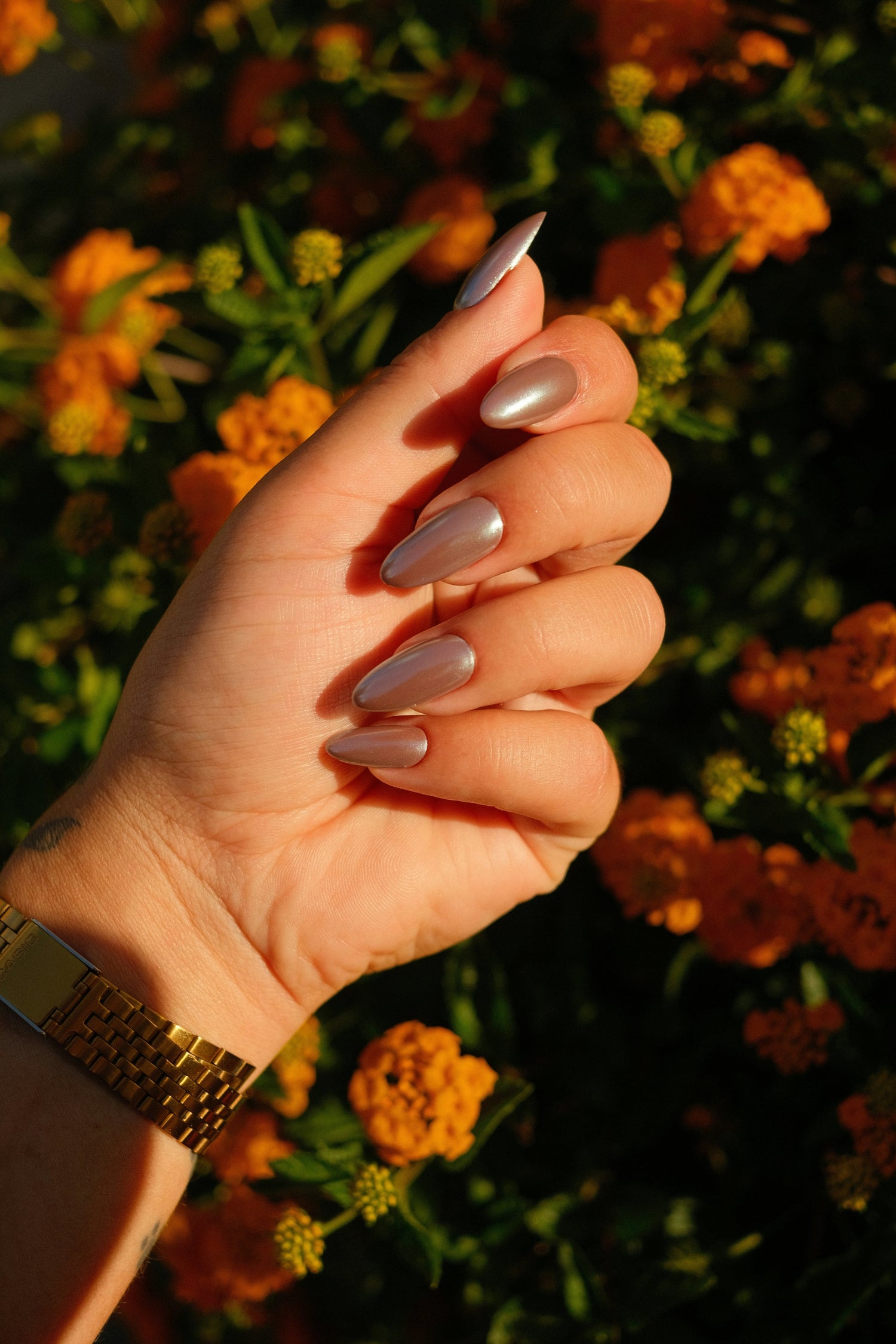 Summer Muse