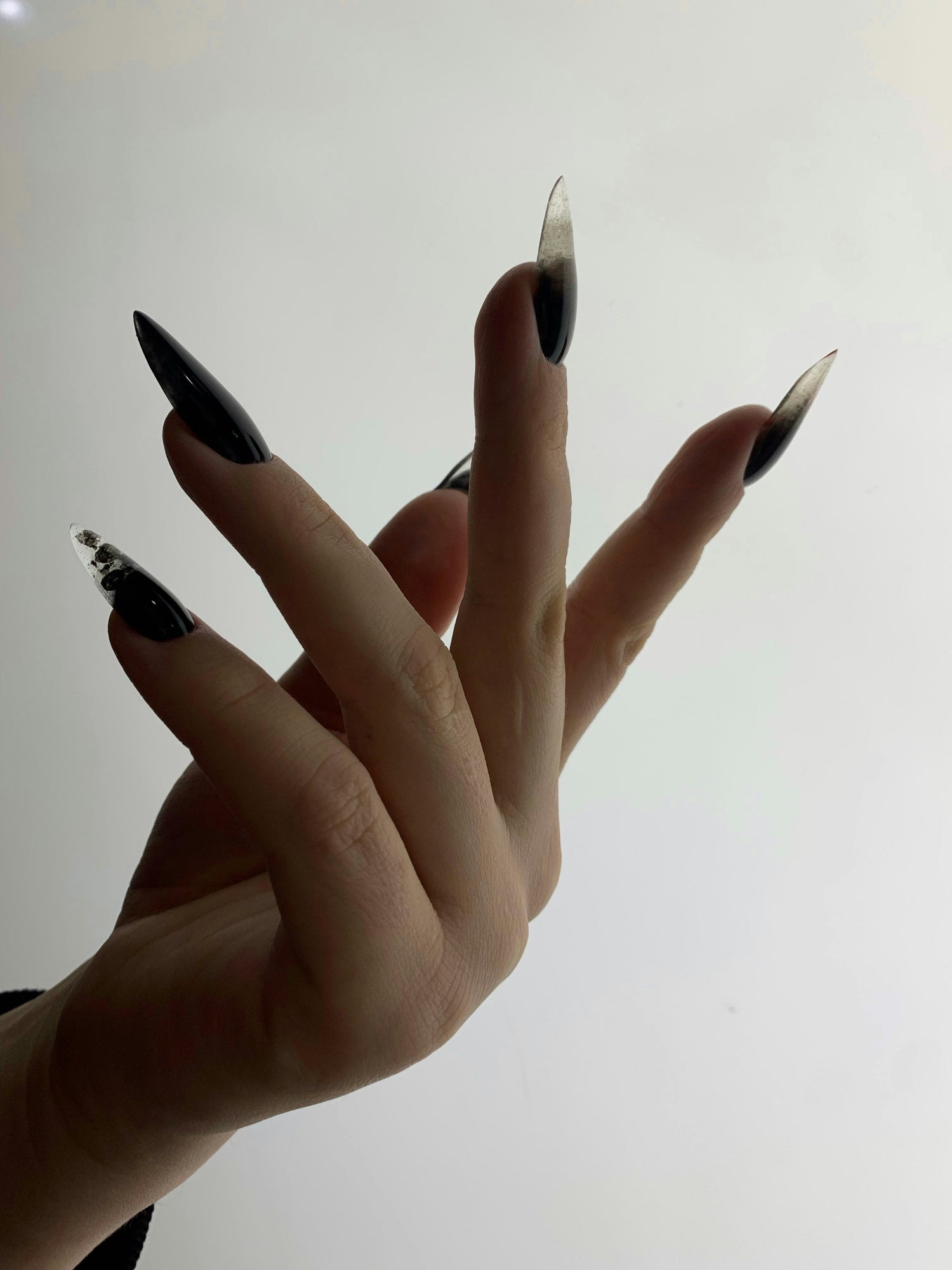 Bold & Ready
